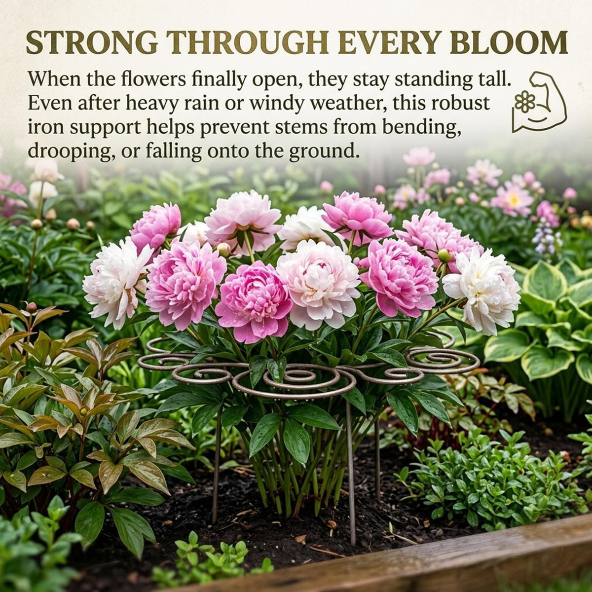 Metal Plant Support Ring for Garden, Peony Cages and Supports, Indoor/Outdoor Plants Wire Hoop, Stackable Houseplant Stake for Climbing Plants Vines Peonies Tomatoes (L)