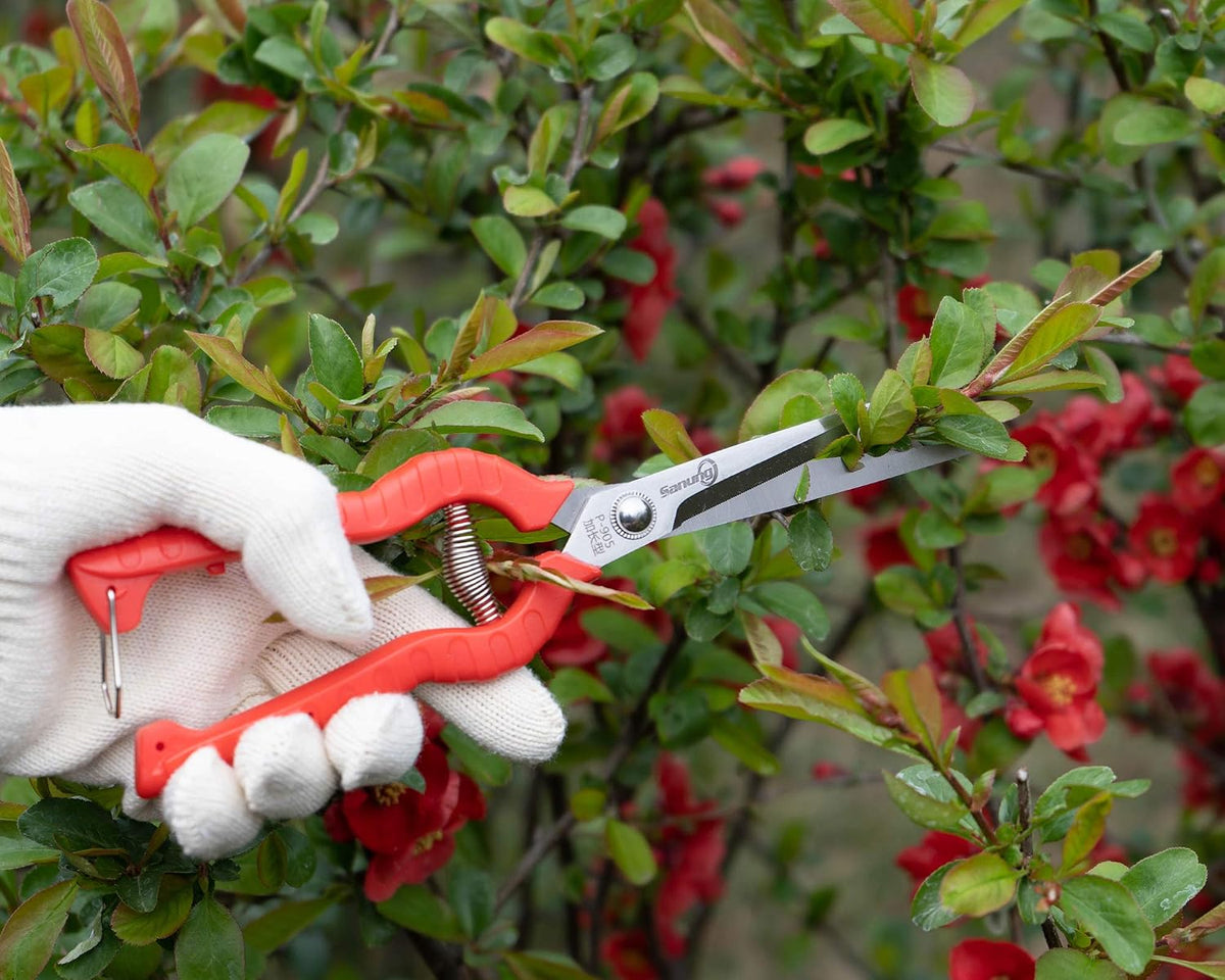 2 PACK Multifunctional Thin Fruit Scissors, P-905 Garden Pruner Shears Cutters with Anti-Slip Grip High-Grade Spring Lock Garden Pruner for Garden Fruits Vegetables Plants Flowers