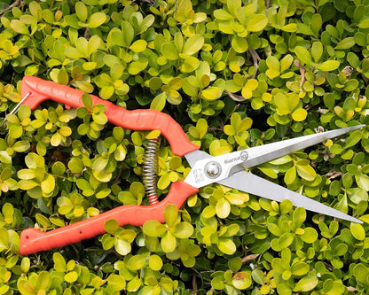 2 PACK Multifunctional Thin Fruit Scissors, P-905 Garden Pruner Shears Cutters with Anti-Slip Grip High-Grade Spring Lock Garden Pruner for Garden Fruits Vegetables Plants Flowers