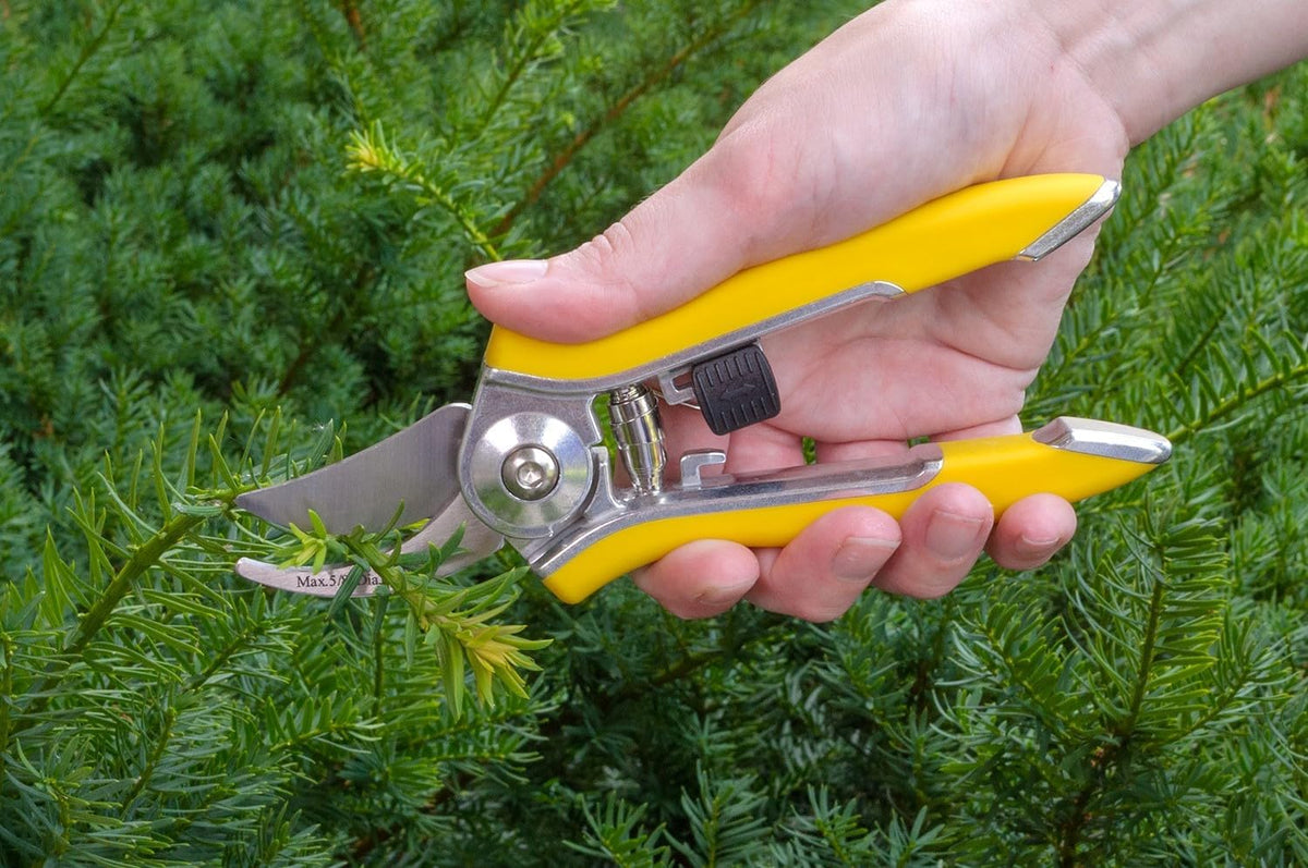 Bypass Pruner, Cut up to 5/8-inch in diameter, Stainless Steel Blade, Blue