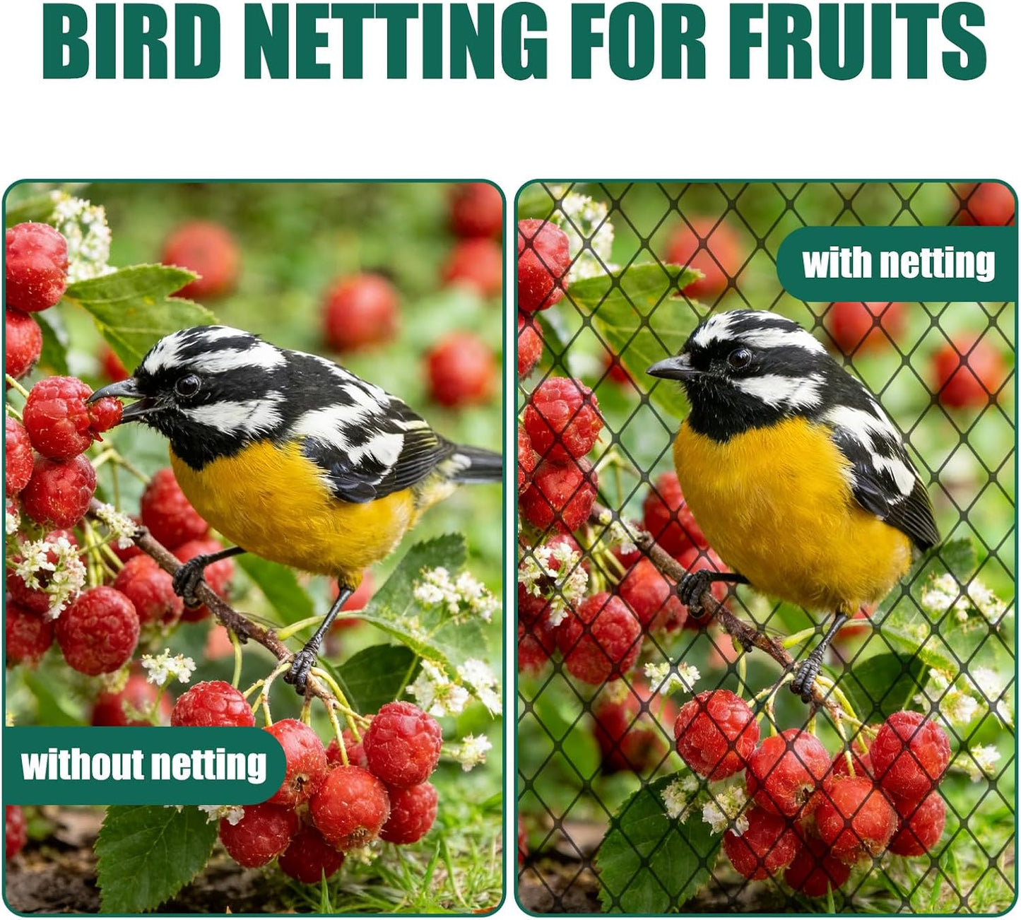 25x50ft Heavy Duty Bird Netting, 1" Mesh for Garden Fruit Trees