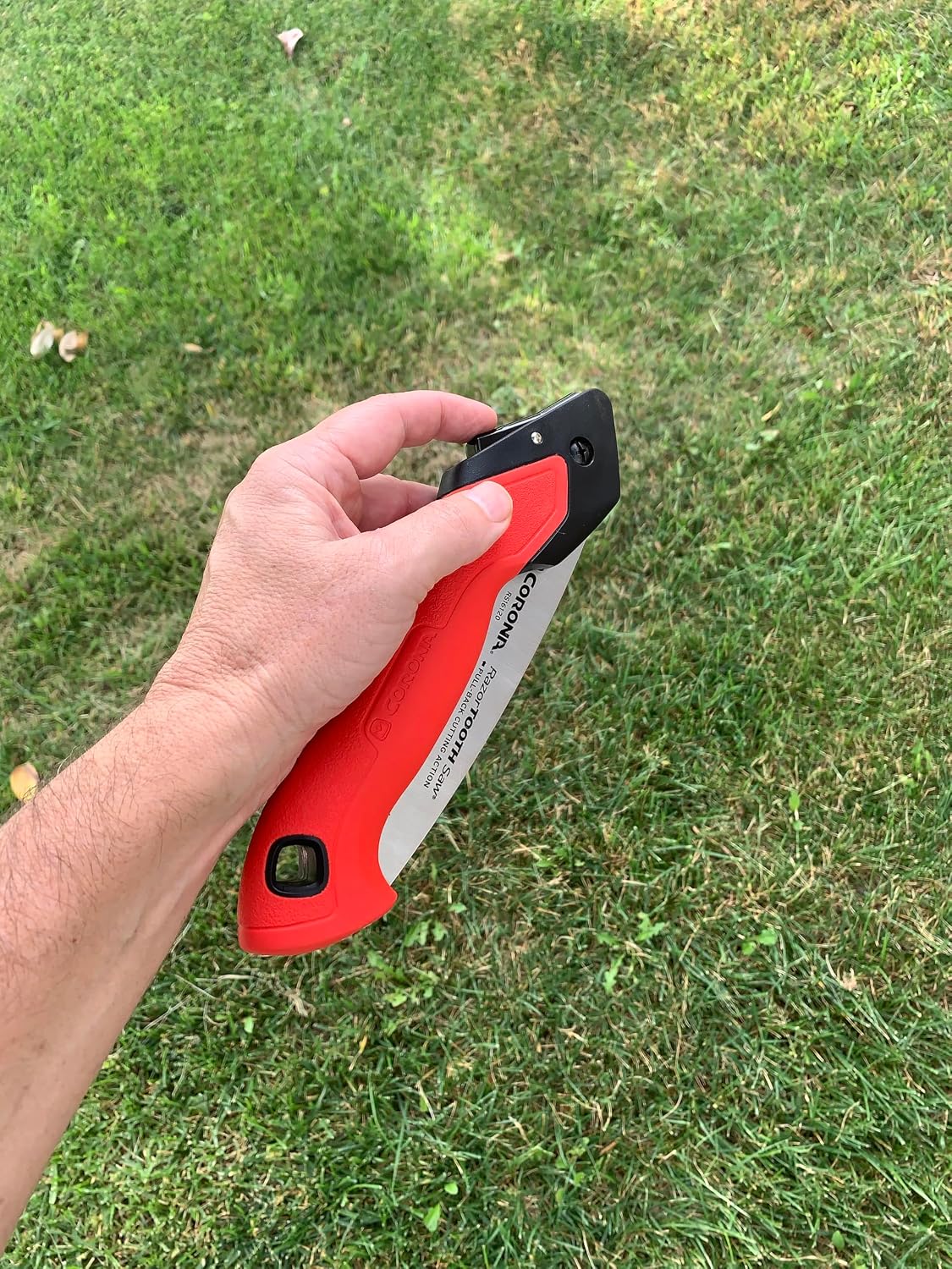 RazorTOOTH Folding Pruning Saw – 7-Inch Tree & Branch Cutting Hand Saw for Gardening, Landscaping & Yard Work, Fast-Cut Razor Tooth Blade