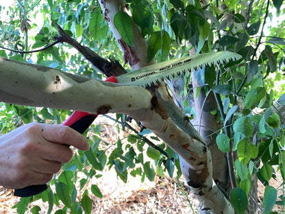 RazorTOOTH Folding Pruning Saw – 7-Inch Tree & Branch Cutting Hand Saw for Gardening, Landscaping & Yard Work, Fast-Cut Razor Tooth Blade