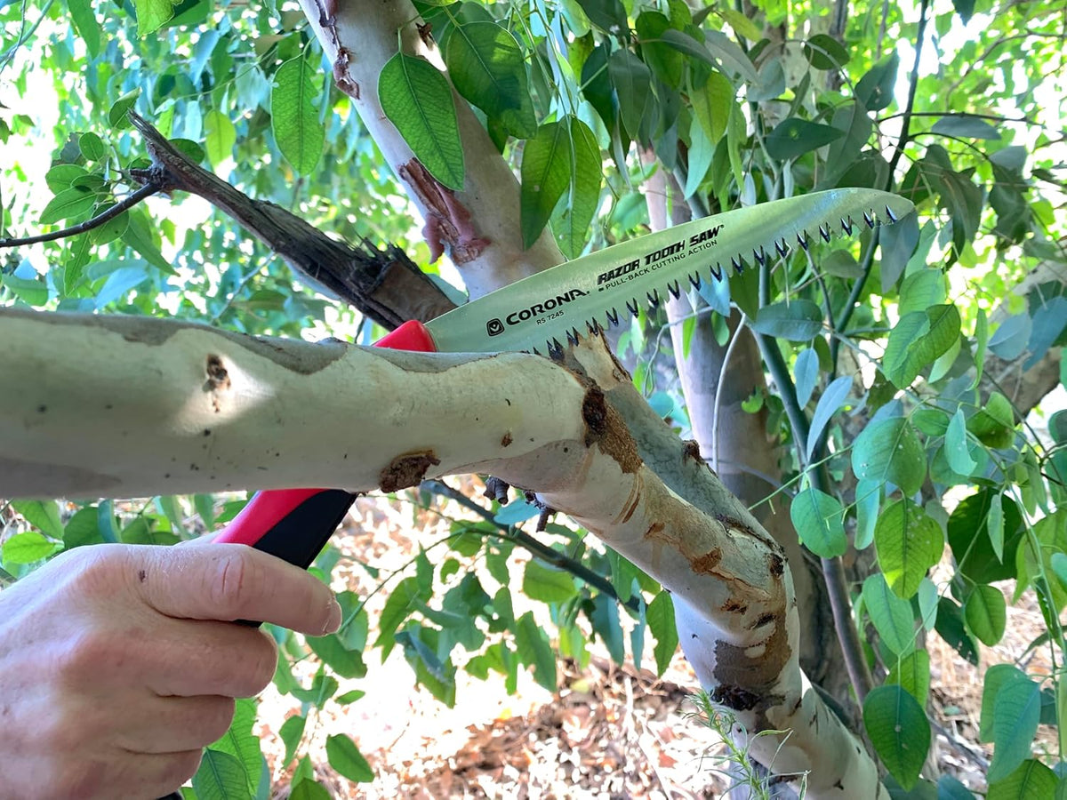 RazorTOOTH Folding Pruning Saw – 7-Inch Tree & Branch Cutting Hand Saw for Gardening, Landscaping & Yard Work, Fast-Cut Razor Tooth Blade