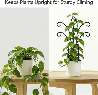 4 Pack Small Plant Trellis for Potted Plants, Metal Climbing Plant Support
