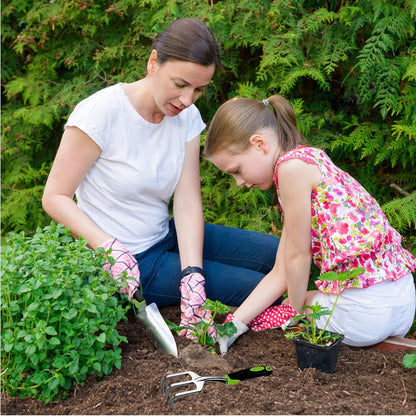 Garden Tool Set, 3 Piece Gardening Tools Includes Garden Trowel, Transplant Trowel and Hand Rake with Non-Slip Ergonomic Handle, Heavy Duty Gardening Kit for Gardening Planting, Gardening Gifts, Green