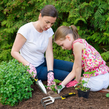 Garden Tool Set, 3 Piece Gardening Tools Includes Garden Trowel, Transplant Trowel and Hand Rake with Non-Slip Ergonomic Handle, Heavy Duty Gardening Kit for Gardening Planting, Gardening Gifts, Green