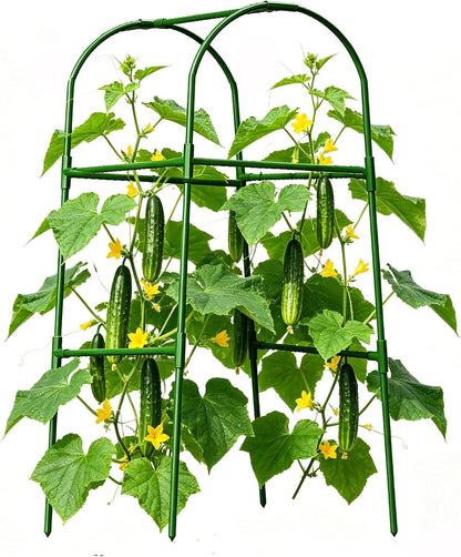 Cucumber Trellis for Plant Climbing- Cucumebr Arch Trelli for Flower Vine Vegetable Tomato Cage Raised Bed- Foldable Garden Tunnel Trellis
