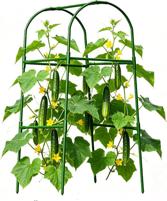 Cucumber Trellis for Plant Climbing- Cucumebr Arch Trelli for Flower Vine Vegetable Tomato Cage Raised Bed- Foldable Garden Tunnel Trellis