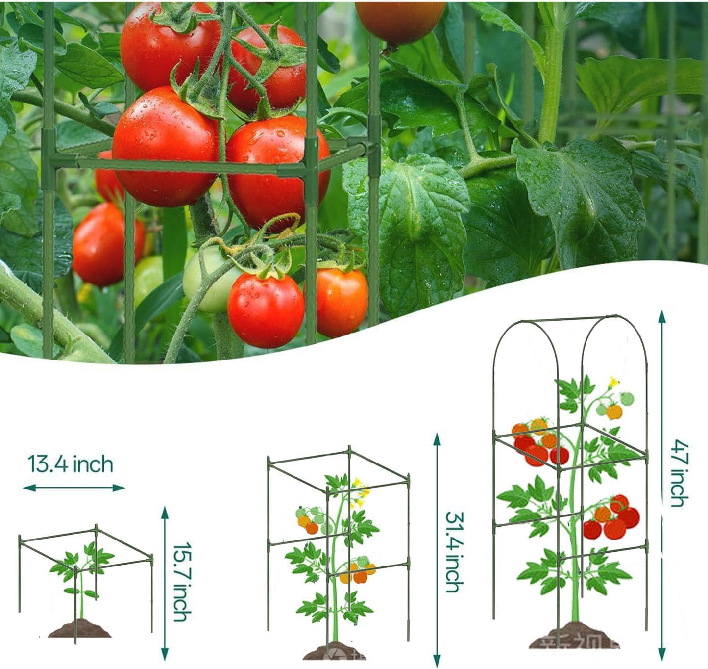 Cucumber Trellis for Plant Climbing- Cucumebr Arch Trelli for Flower Vine Vegetable Tomato Cage Raised Bed- Foldable Garden Tunnel Trellis
