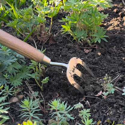 Stainless Steel Hand Weed Fork, Durable Gardening Tool for Efficient Weeding and Soil Aeration
