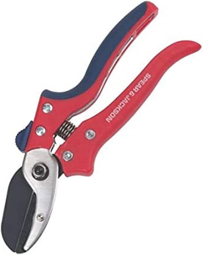 7158AS Razorsharp Advantage Anvil Pruning Shears, Pruner, Multicoloured