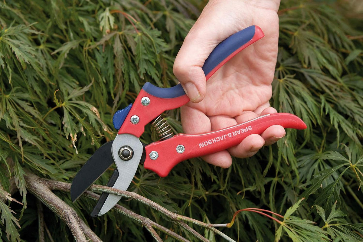 7158AS Razorsharp Advantage Anvil Pruning Shears, Pruner, Multicoloured