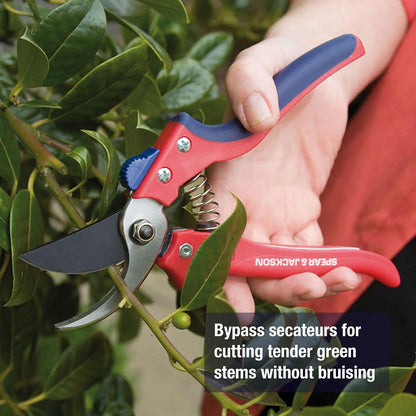 7158AS Razorsharp Advantage Anvil Pruning Shears, Pruner, Multicoloured