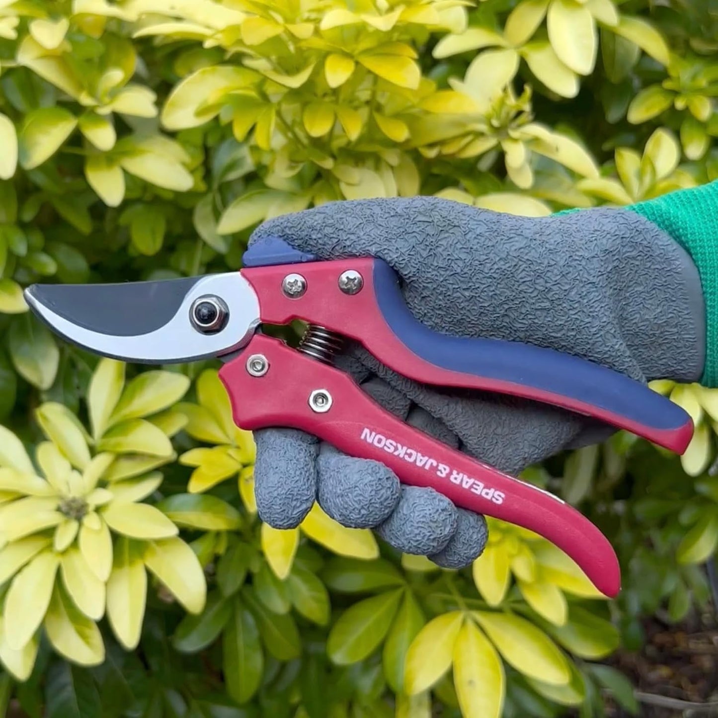 7158AS Razorsharp Advantage Anvil Pruning Shears, Pruner, Multicoloured