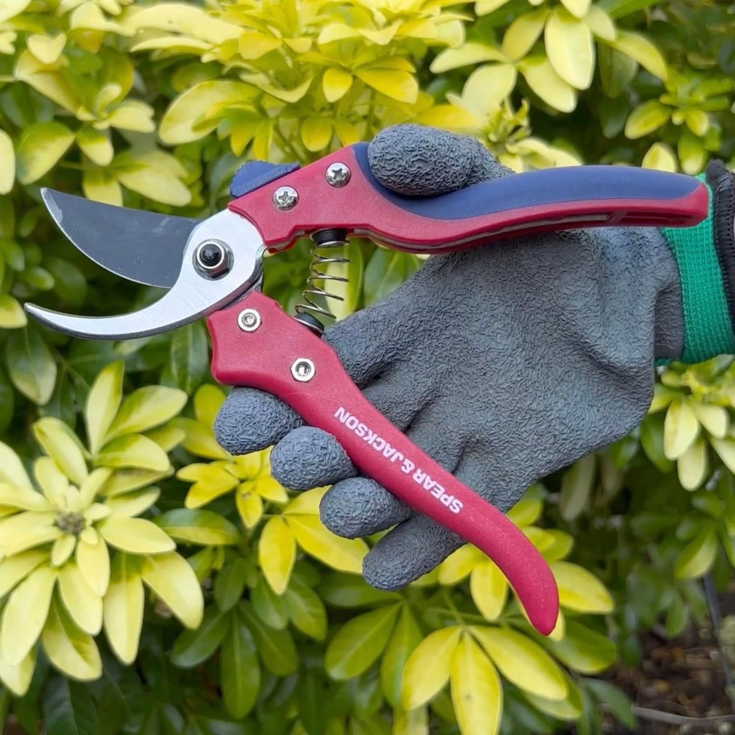 7158AS Razorsharp Advantage Anvil Pruning Shears, Pruner, Multicoloured