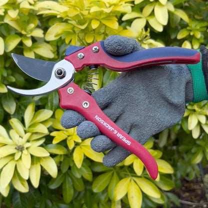 7158AS Razorsharp Advantage Anvil Pruning Shears, Pruner, Multicoloured