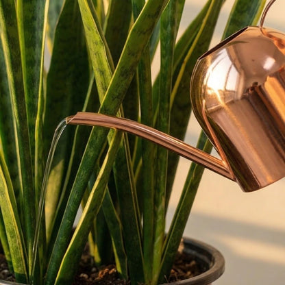 500ml Stainless Steel Watering Can Ergonomic Handle & Leak-Proof Design Long Spout Indoor Plant Pot for Home Garden(Rose Gold)