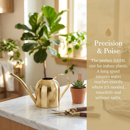 500ml Stainless Steel Watering Can Ergonomic Handle & Leak-Proof Design Long Spout Indoor Plant Pot for Home Garden(Rose Gold)