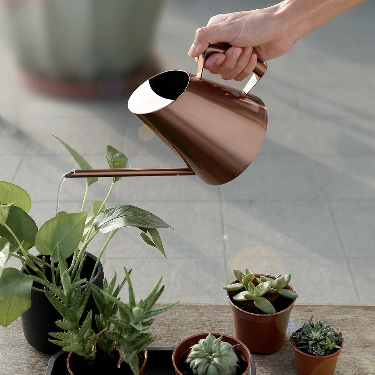 Indoor Plant Watering Can, 900ml Bronze