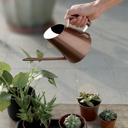 Indoor Plant Watering Can, 900ml Bronze