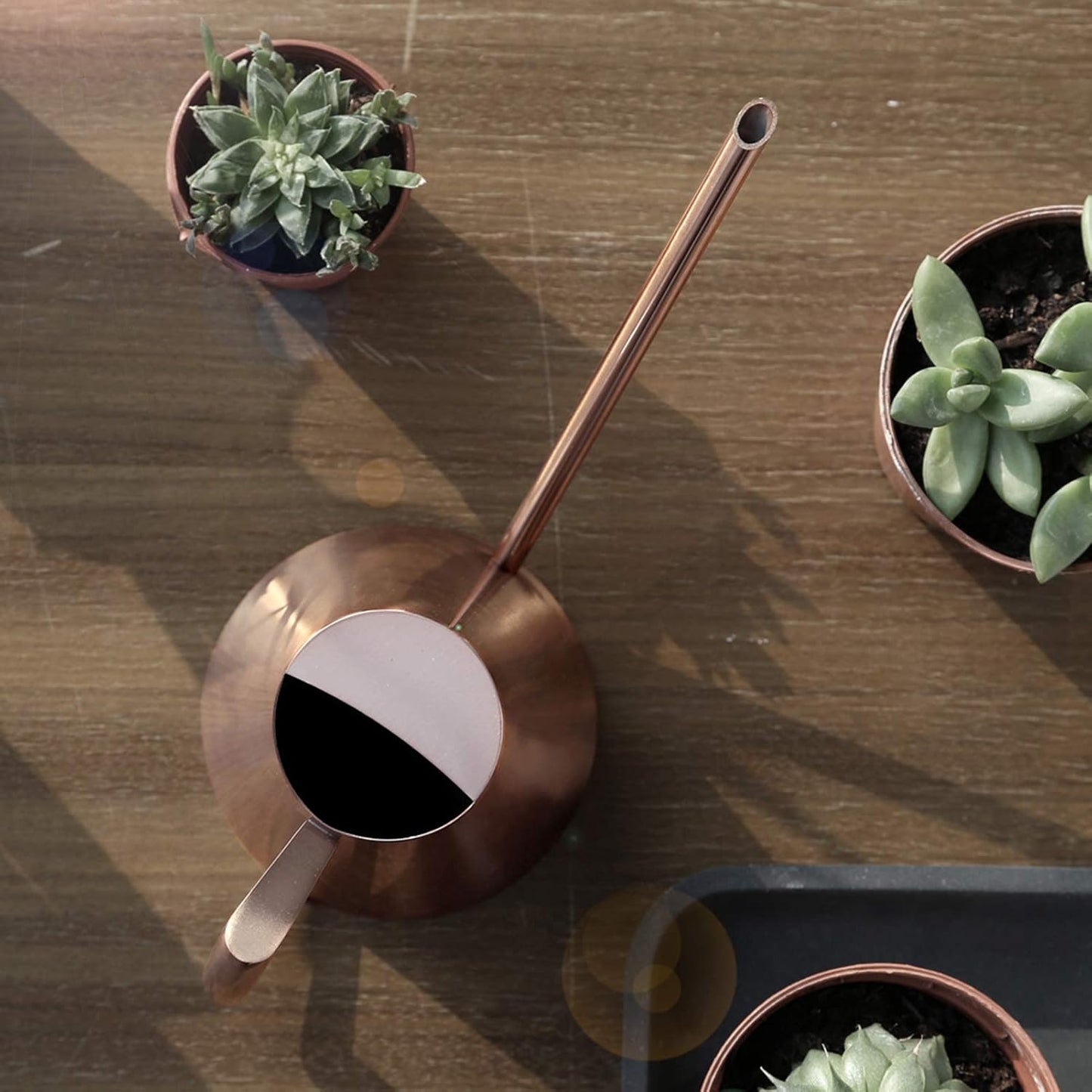 Indoor Plant Watering Can, 900ml Bronze