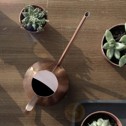 Indoor Plant Watering Can, 900ml Bronze