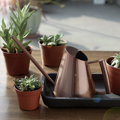 Indoor Plant Watering Can, 900ml Bronze
