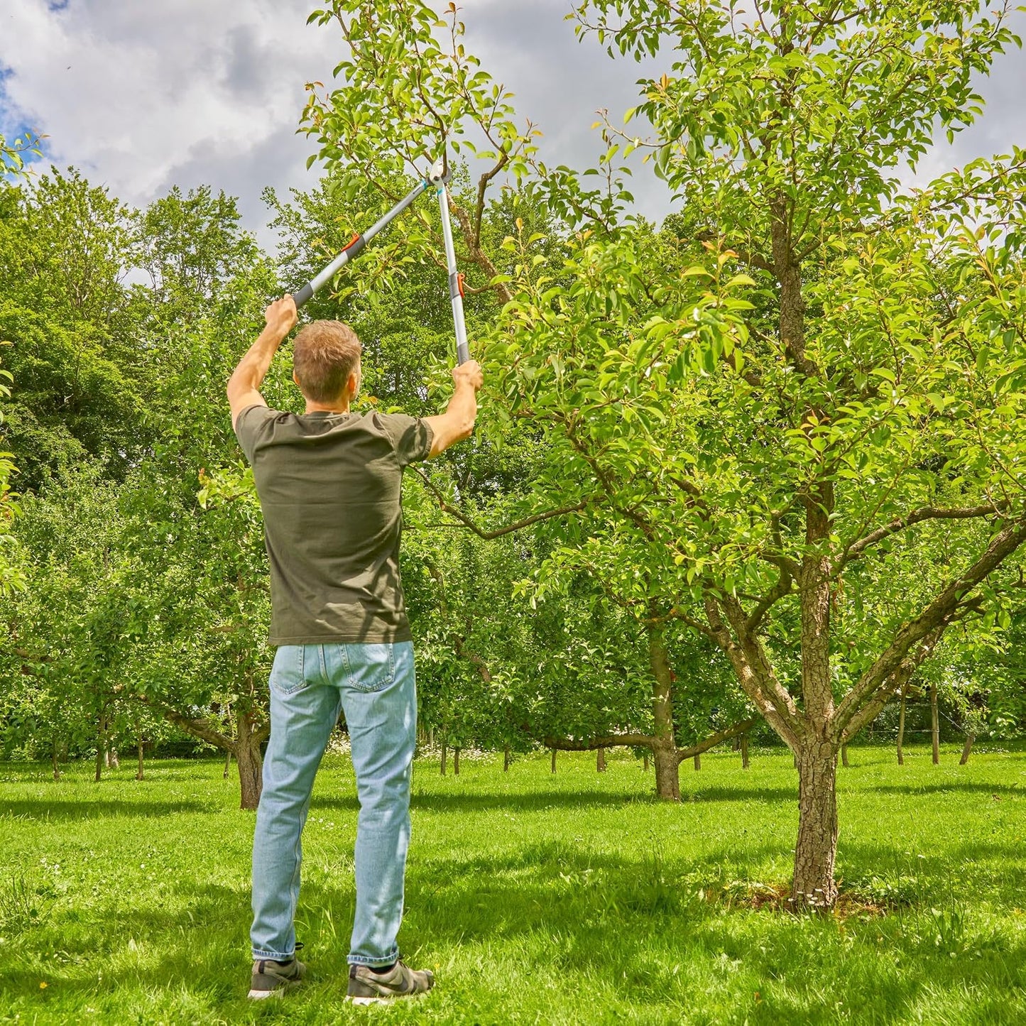 TeleCut Basic, Telescoping Pruners for Green Wood