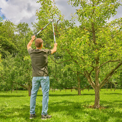 TeleCut Basic, Telescoping Pruners for Green Wood