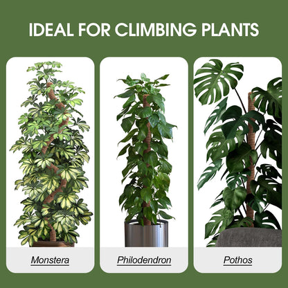 2 Pack Moss Pole 63 Inch Monstera Plant Sticks Support Tall Long Stakes