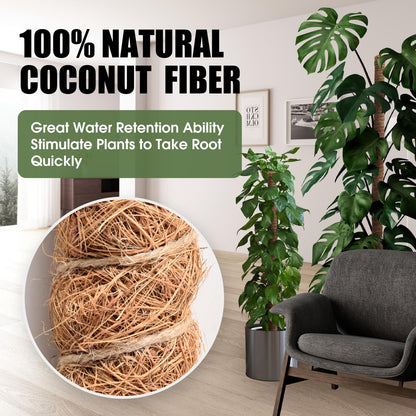 2 Pack Moss Pole 63 Inch Monstera Plant Sticks Support Tall Long Stakes