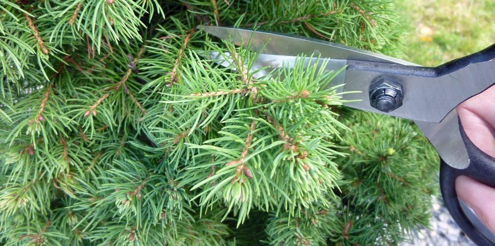 No. 412 Whetstone for Pruning Shears 2.1 oz (60 g)