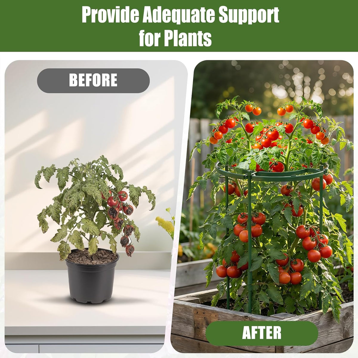 4 Pack Peony Cages and Supports, 11.8" D x 25" H Plastic Plant Supports