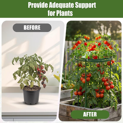 4 Pack Peony Cages and Supports, 11.8" D x 25" H Plastic Plant Supports