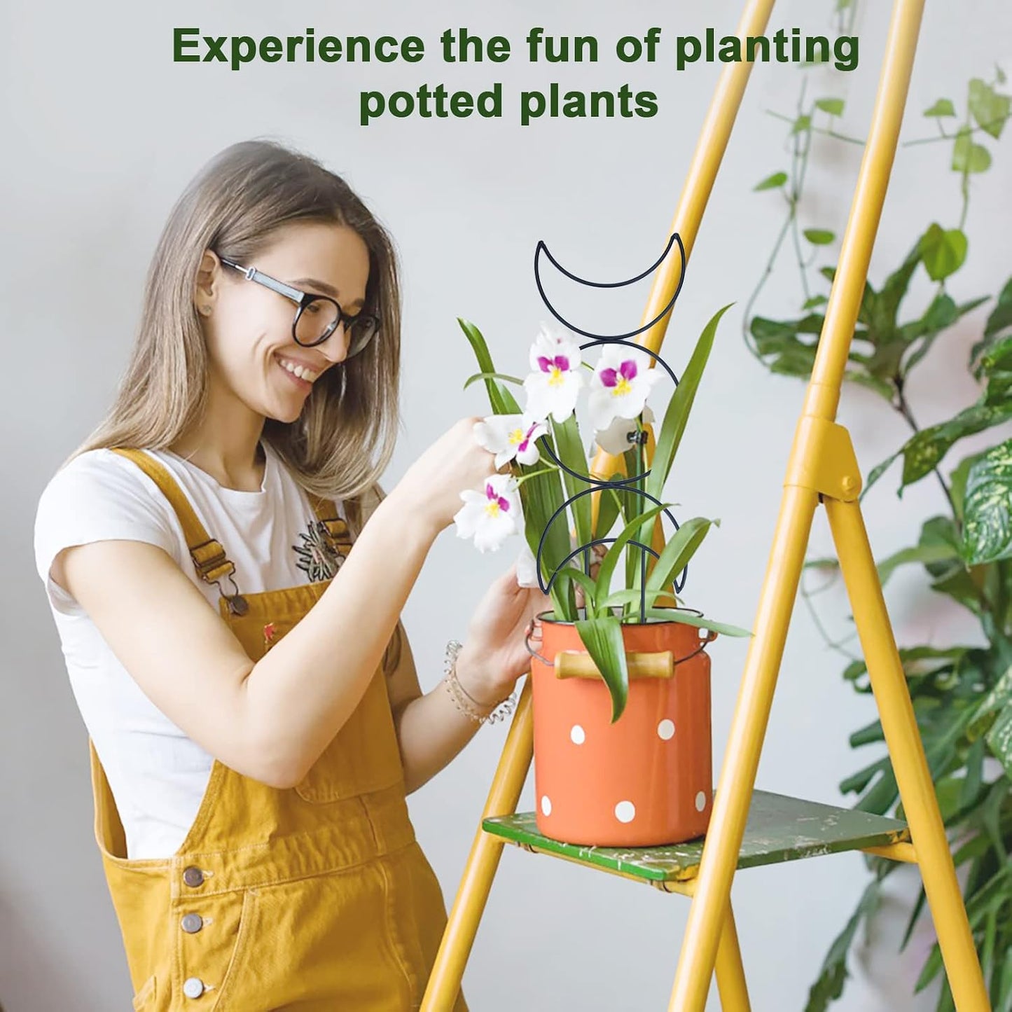 16inch Small Indoor Plant Trellis for Climbing Plants Outdoor