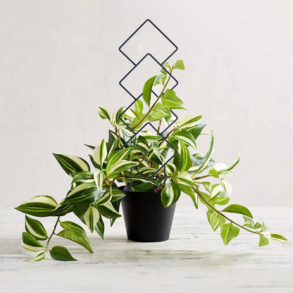 16inch Small Indoor Plant Trellis for Climbing Plants Outdoor