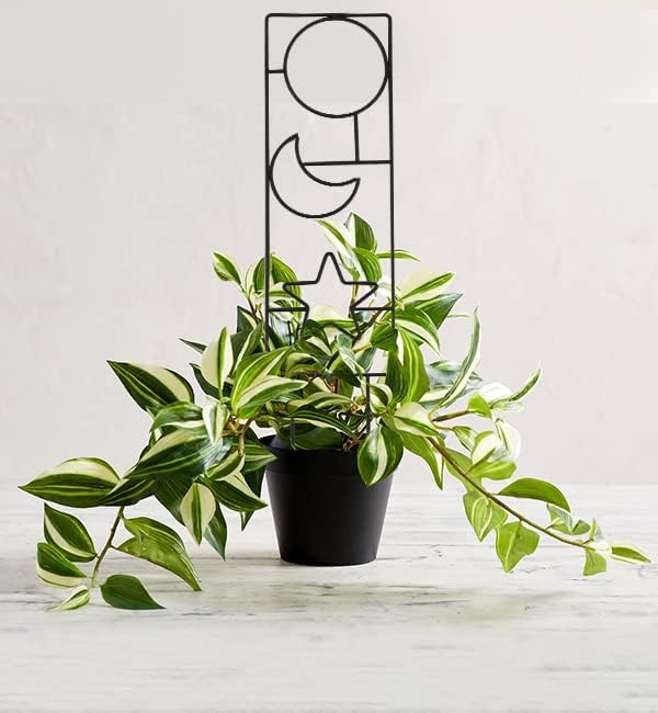 16inch Small Indoor Plant Trellis for Climbing Plants Outdoor