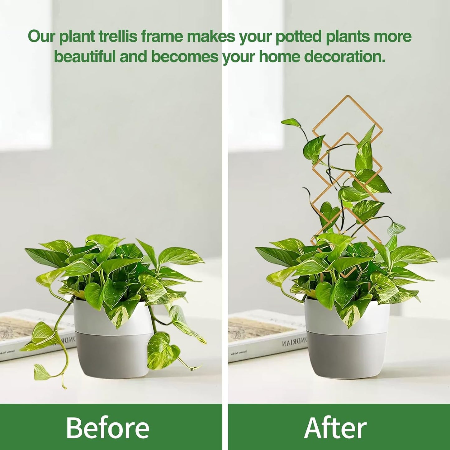 16inch Small Indoor Plant Trellis for Climbing Plants Outdoor