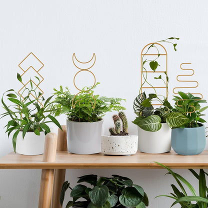 16inch Small Indoor Plant Trellis for Climbing Plants Outdoor