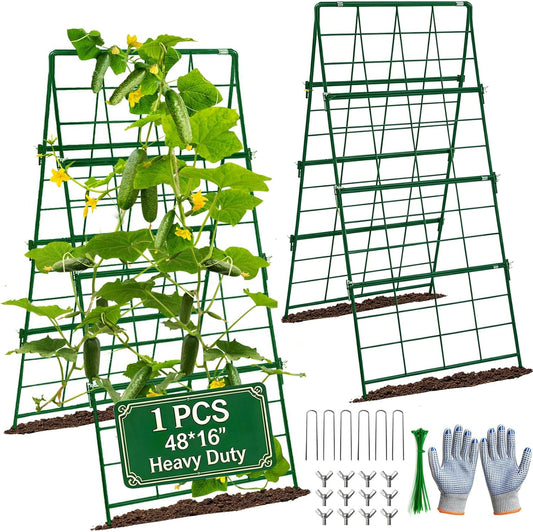 Heavy Duty Cucumber Trellis Thickened for Raised Garden Bed,48"x16" Foldable Frame Metal Vegetable Trellis for Climbing Plants Outdoor Plant Support for Grape Tomato Peas, Fruit, Vine,Bean(1 Pack)