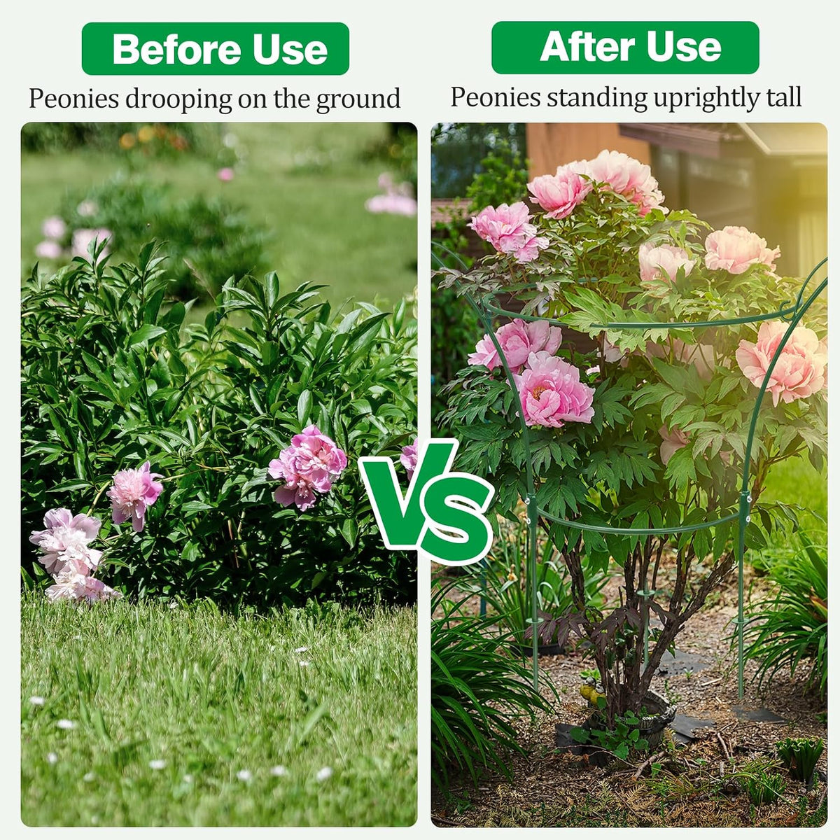 4 Pack Peony Cages and Supports Cages 13" D x 22.8" H Sturdy Metal Support Frame for Peonies & Roses Natural Bouquet Shape Garden Stakes for Outdoor Plants Flowers Ornamental (Green)