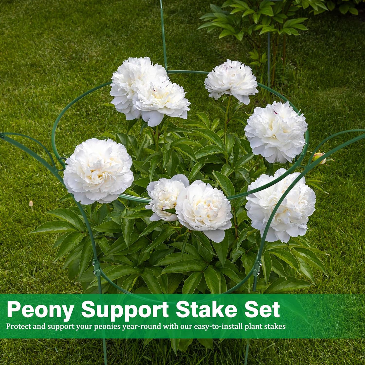 4 Pack Peony Cages and Supports Cages 13" D x 22.8" H Sturdy Metal Support Frame for Peonies & Roses Natural Bouquet Shape Garden Stakes for Outdoor Plants Flowers Ornamental (Green)
