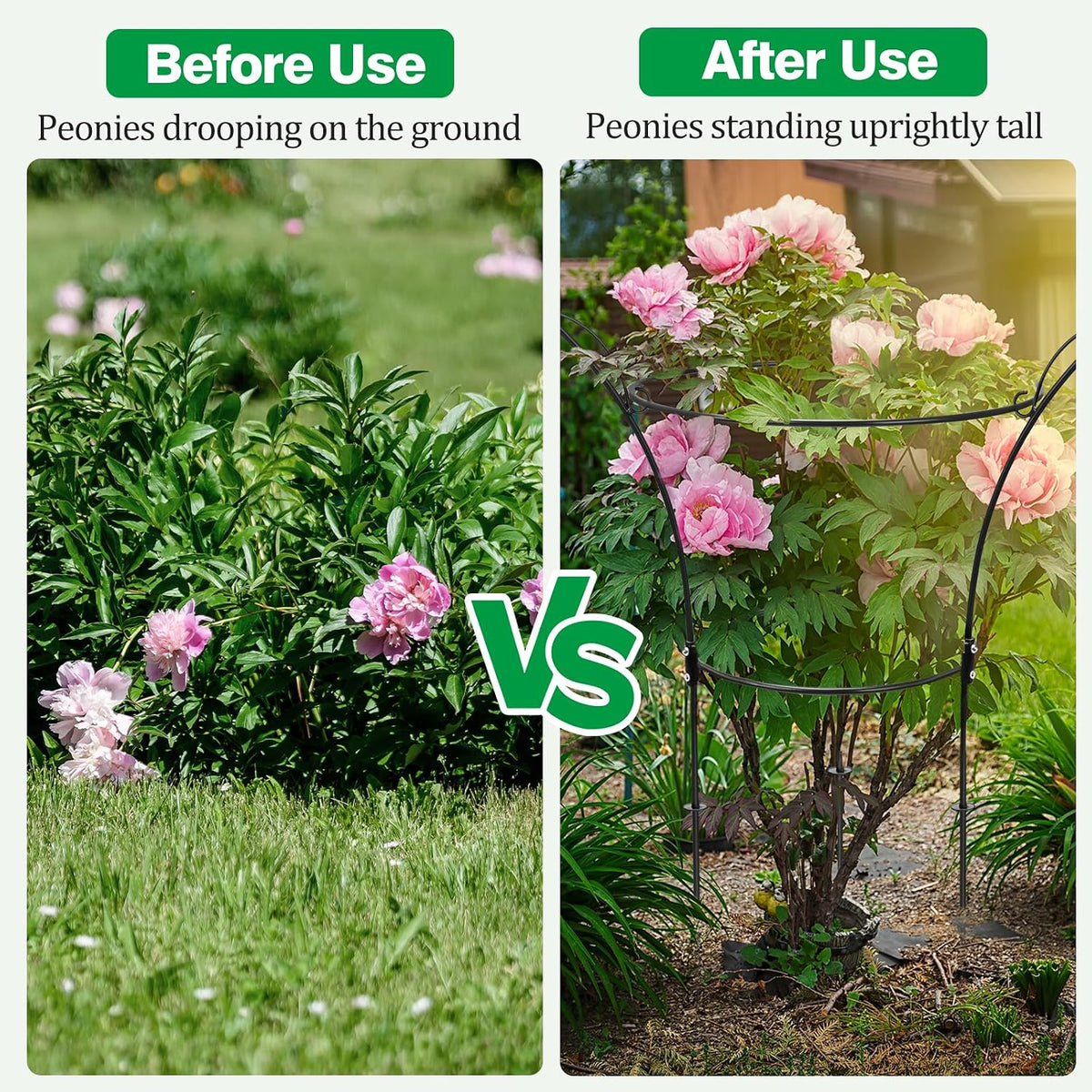4 Pack Peony Cages and Supports Cages 13" D x 22.8" H Sturdy Metal Support Frame for Peonies & Roses Natural Bouquet Shape Garden Stakes for Outdoor Plants Flowers Ornamental (Green)