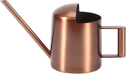 Watering Can, 10oz/300ml Indoor Plants Watering Pot Stainless Steel Small Jug with Long Spout Sprinkling Jar for Houseplant Desk Garden Outdoor Flowers Succulents Bonsai Gardening Decorative