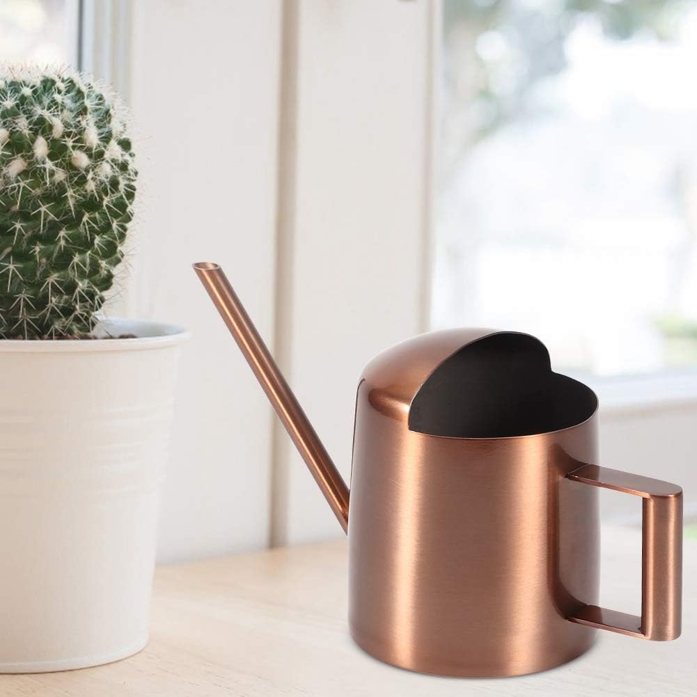 Watering Can, 10oz/300ml Indoor Plants Watering Pot Stainless Steel Small Jug with Long Spout Sprinkling Jar for Houseplant Desk Garden Outdoor Flowers Succulents Bonsai Gardening Decorative