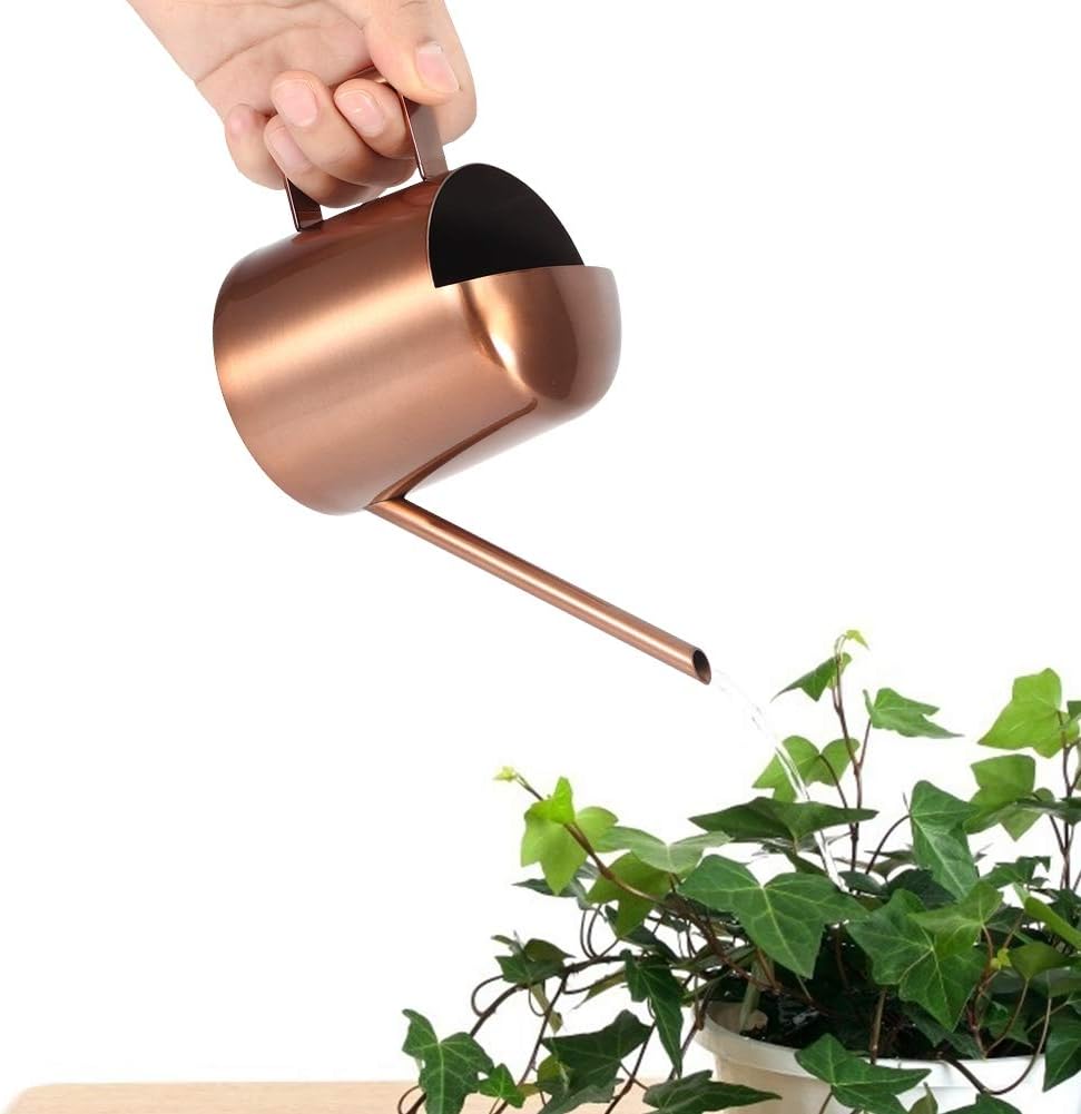 Watering Can, 10oz/300ml Indoor Plants Watering Pot Stainless Steel Small Jug with Long Spout Sprinkling Jar for Houseplant Desk Garden Outdoor Flowers Succulents Bonsai Gardening Decorative