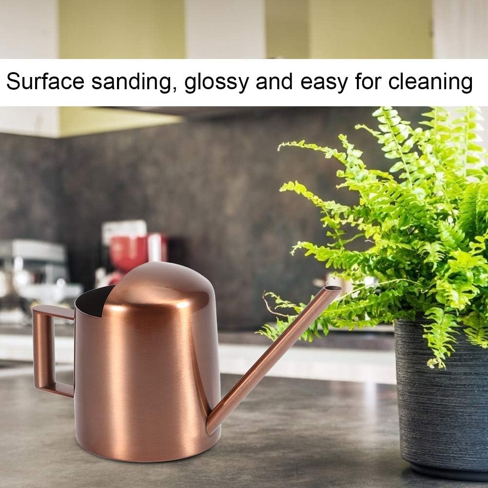 Watering Can, 10oz/300ml Indoor Plants Watering Pot Stainless Steel Small Jug with Long Spout Sprinkling Jar for Houseplant Desk Garden Outdoor Flowers Succulents Bonsai Gardening Decorative