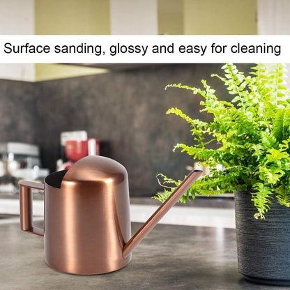 Watering Can, 10oz/300ml Indoor Plants Watering Pot Stainless Steel Small Jug with Long Spout Sprinkling Jar for Houseplant Desk Garden Outdoor Flowers Succulents Bonsai Gardening Decorative