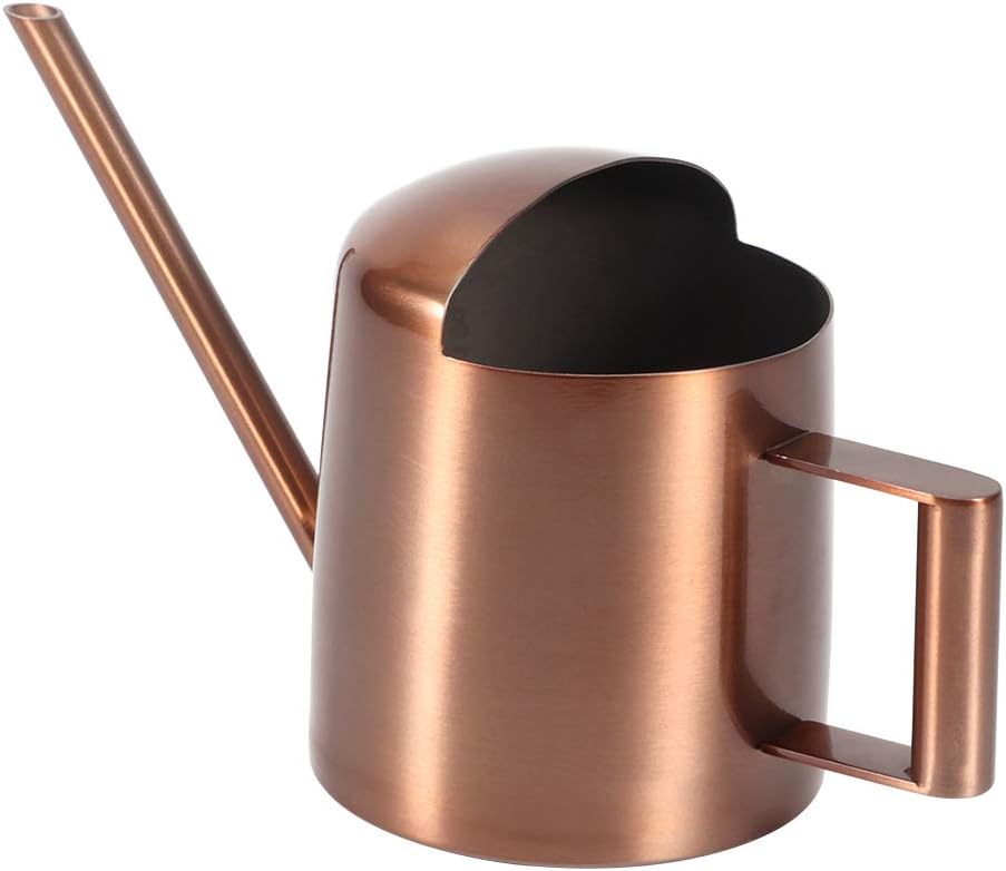 Watering Can, 10oz/300ml Indoor Plants Watering Pot Stainless Steel Small Jug with Long Spout Sprinkling Jar for Houseplant Desk Garden Outdoor Flowers Succulents Bonsai Gardening Decorative